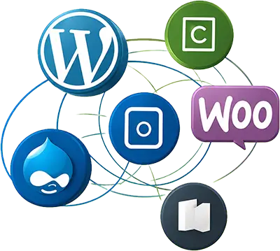 Thiết kế plugin website